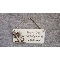 Crazy Cat Lady Decorative Sign | Plaque