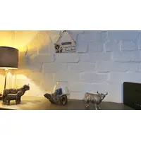 CAUTION Crazy Cat Lady Lives Here Decorative Wooden Sign | Plaque