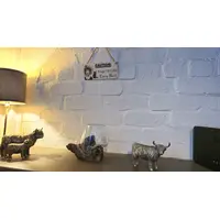 CAUTION: Crazy Cat Lady Lives Here Decorative Wooden Sign | Plaque