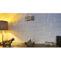 Warning A Witch Lives Here Decorative Sign | Plaque | Hanging | Desk Mount