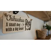 Chihuahua Decorative Signs and Plaques