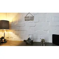 Crazy Plant and Cat Lady Cartoon Decorative Signs and Plaques