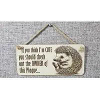 Funny Cute Quote Decorative Hedgehog Sign | Plaque | Wall or Desk Mounted
