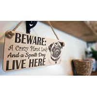 Crazy Plant and Dog Lady Pug Decorative Signs and Plaques
