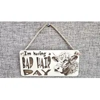 Bad Hair Day funny wall sign with highland cow messy hair image