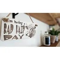 Bad Hair Day funny wall sign with highland cow messy hair image