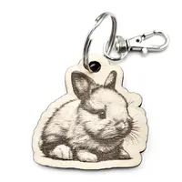 Personalised Baby Rabbit Wooden Keyring Shaped with Split Ring and Clip