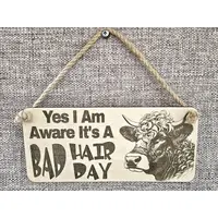 Bad Hair Day Funny Highland Cow Coo Plaque