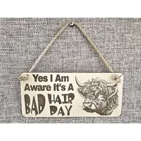 Bad Hair Day funny wall sign with highland cow image