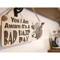 Bad Hair Day Funny Highland Cow Coo Plaque