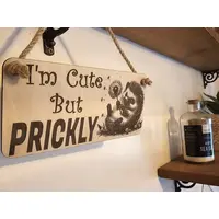 Hedgehog Plaque Decorative Sign With Funny Quote