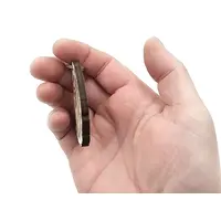 Personalised Long Haired Cat Wooden Keyring Shaped with Split Ring and Clip