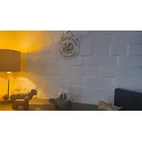 Welsh Dragon with Croeso I'n Cartref hanging wall plaque Welcome to our home