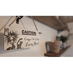 CAUTION Crazy Cat Lady Lives Here Decorative Wooden Sign | Plaque
