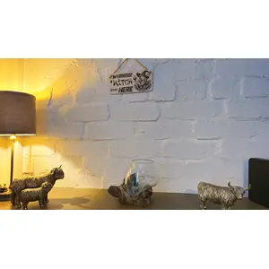 Warning A Witch Lives Here Decorative Sign | Plaque | Hanging | Desk Mount