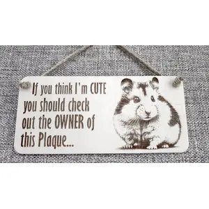 Hamster Decorative Sign | Plaque | With Cute Funny Saying