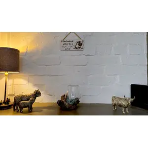 Crazy Rat Lady Quote on Decorative Sign | Plaque | With Cute Funny Saying