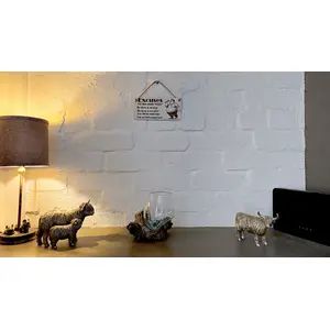 Excuses of a Dart Pro Pub Player Hanging Wall Plaque Funny Humorous Sign