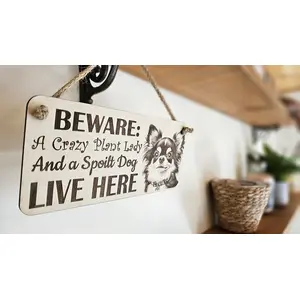 Crazy Plant and Dog Lady Chihuahua Decorative Signs and Plaques