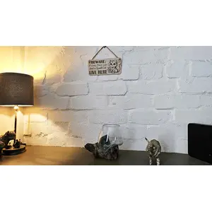 Crazy Plant and Cat Lady Cartoon Decorative Signs and Plaques