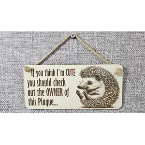 Funny Cute Quote Decorative Hedgehog Sign | Plaque | Wall or Desk Mounted