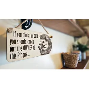 Funny Cute Quote Decorative Hedgehog Sign | Plaque | Wall or Desk Mounted