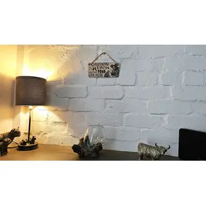 Caution An Old Witch And Her Toad Live Here Decorative Sign | Plaque