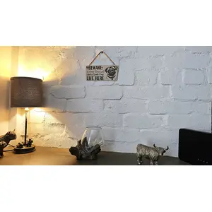 Crazy Plant and Dog Lady Pug Decorative Signs and Plaques