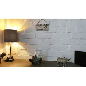 Crazy Plant and Dog Lady Jack Russell Decorative Signs and Plaques