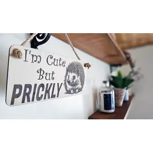 Cute Hedgehog Decorative Sign | Plaque | Wall or Desk Mount With Humorous Quote