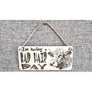 Bad Hair Day funny wall sign with highland cow messy hair image