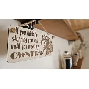Beautiful Horse Decorative Sign | Plaque | With Cute Funny Saying