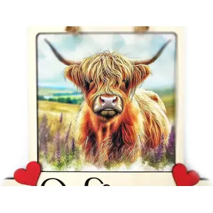 Highland Cow Welcome Sign Modern Design With Colourful Picture