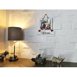 Hedgehog Welcome Sign Modern Design With Colourful Picture