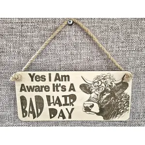 Bad Hair Day Funny Highland Cow Coo Plaque
