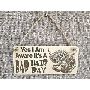 Bad Hair Day funny wall sign with highland cow image