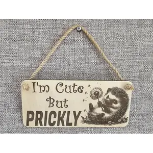 Hedgehog Plaque Decorative Sign With Funny Quote