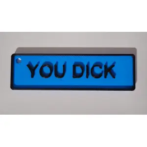 YOU DICK Funny Adult Rude Explicit Insulting Keyring NSFW