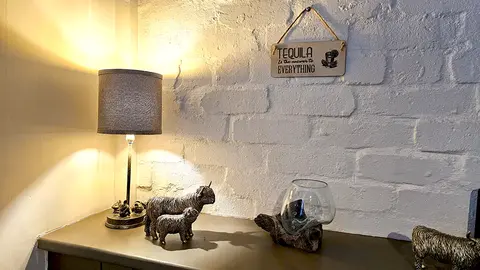 Tequila is the Answer to Everything Decorative Sign | Plaque