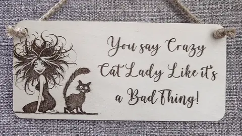 Crazy Cat Lady Decorative Sign | Plaque