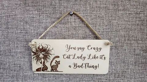 Crazy Cat Lady Decorative Sign | Plaque