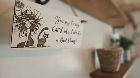 Crazy Cat Lady Decorative Sign | Plaque