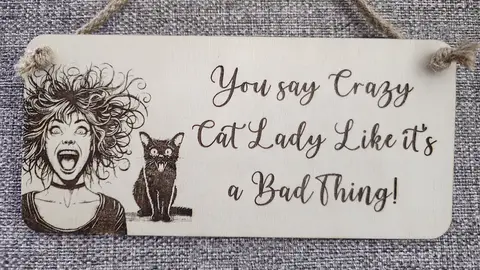 Crazy Cat Lady Decorative Sign | Plaque