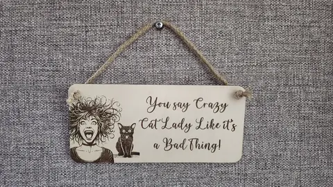 Crazy Cat Lady Decorative Sign | Plaque