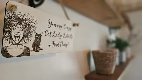 Crazy Cat Lady Decorative Sign | Plaque