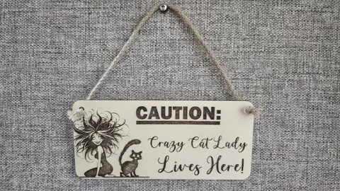 CAUTION Crazy Cat Lady Lives Here Decorative Wooden Sign | Plaque