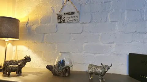 CAUTION Crazy Cat Lady Lives Here Decorative Wooden Sign | Plaque