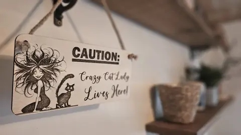 CAUTION Crazy Cat Lady Lives Here Decorative Wooden Sign | Plaque