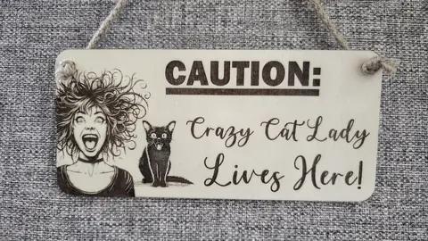 CAUTION: Crazy Cat Lady Lives Here Decorative Wooden Sign | Plaque