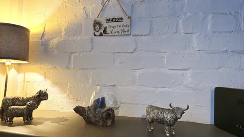 CAUTION: Crazy Cat Lady Lives Here Decorative Wooden Sign | Plaque